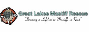 Great Lakes Mastiff Rescue