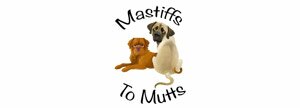 mastiffs to mutts